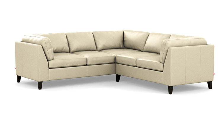 Salema 2-Piece Sectional Sofa