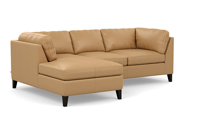 Salema 2-Piece Sectional Sofa With Chaise