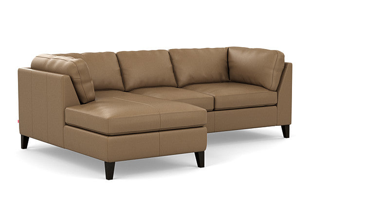 Salema 2-Piece Sectional Sofa With Chaise