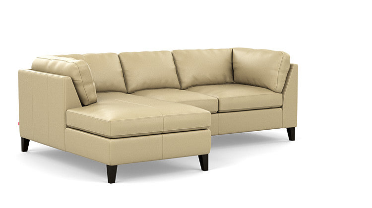 Salema 2-Piece Sectional Sofa With Chaise