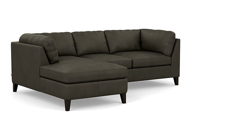 Salema 2-Piece Sectional Sofa With Chaise