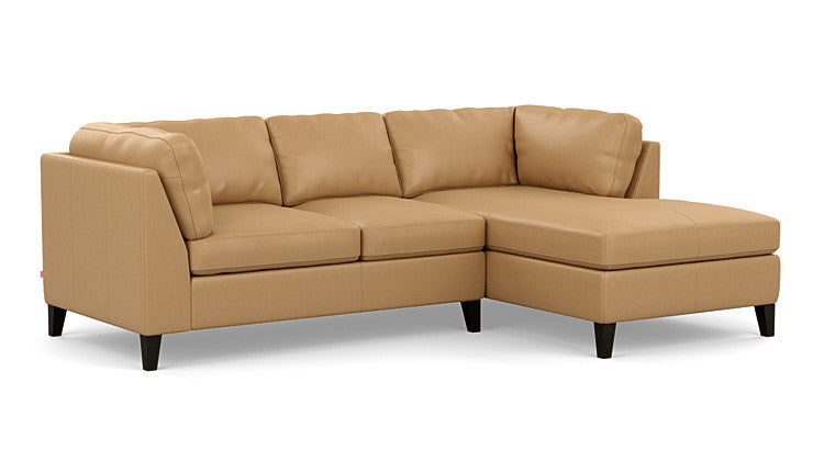 Salema 2-Piece Sectional Sofa With Chaise