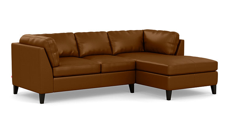 Salema 2-Piece Sectional Sofa With Chaise