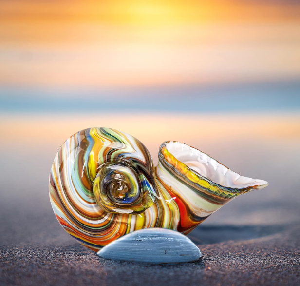 Glass Nautilus Conch Glass Art