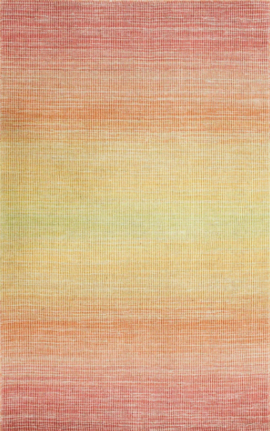 Liora Manne Aruba Ombre