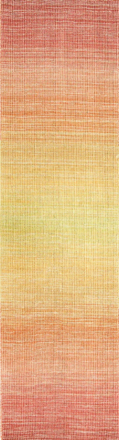 Liora Manne Aruba Ombre