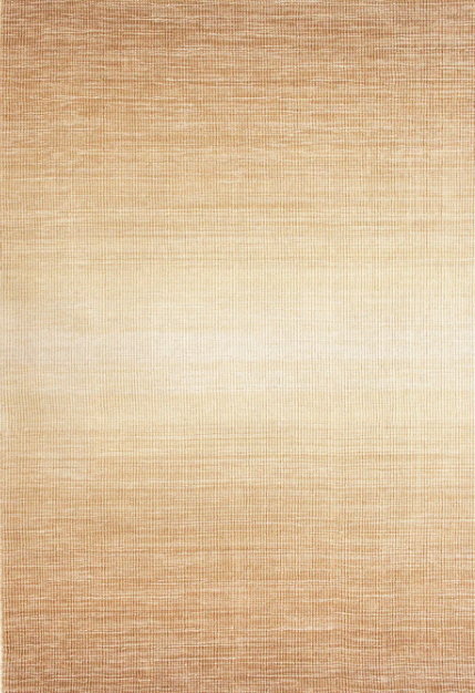Liora Manne Aruba Ombre