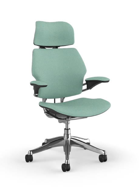 Freedom Headrest Task Chair Ergonomic