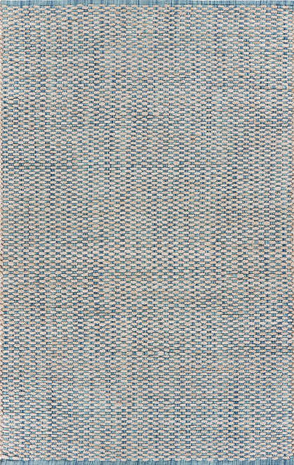 Hand Woven Jute and Cotton Indoor Rug