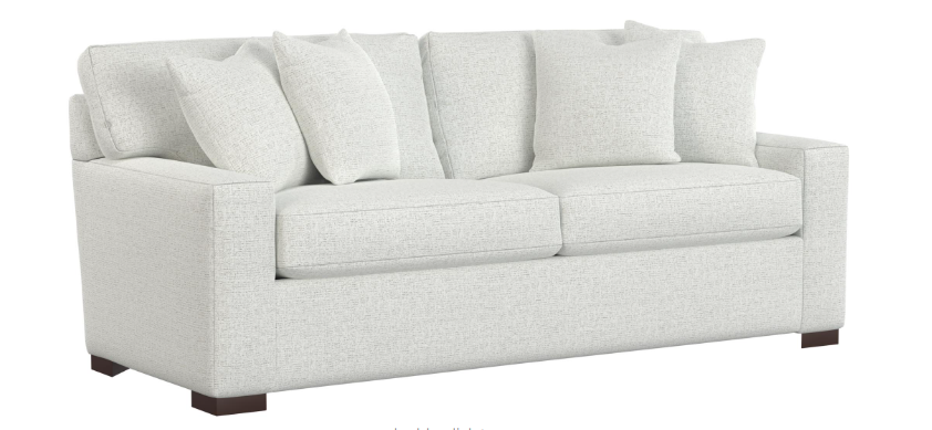 Hudson Sleeper Sofa Performance