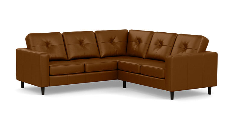 Solo 2-Piece Sectional Sofa