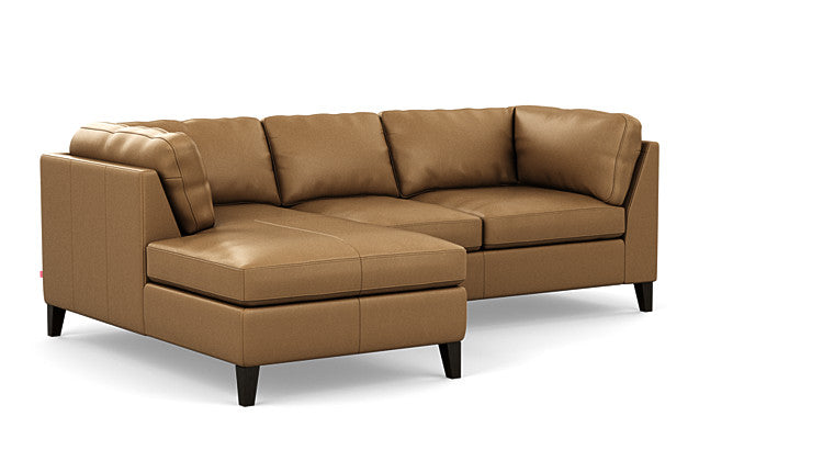 Salema 2-Piece Sectional Sofa With Chaise