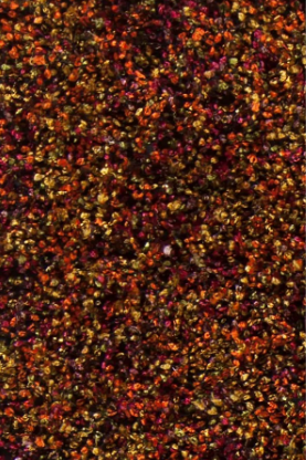 Blossom Rug