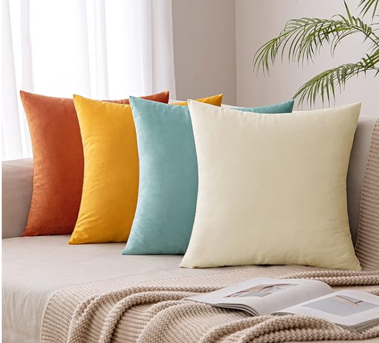 Decorative Velvet Throw pillow