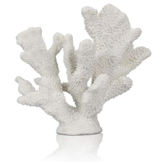 White Coral Decor White Coral Reef