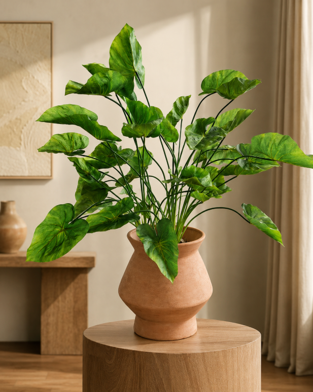 Caladium + Antique Brown Pot 30cm