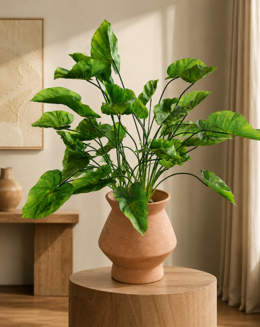 Caladium + Antique Brown Pot 30cm
