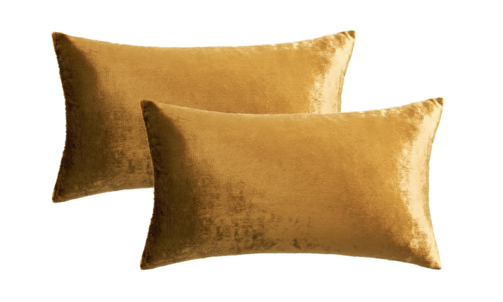 Decorative Velvet Throw pillow
