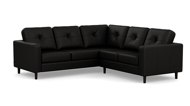 Solo 2-Piece Sectional Sofa