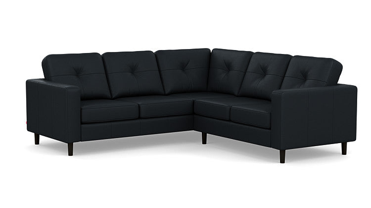 Solo 2-Piece Sectional Sofa